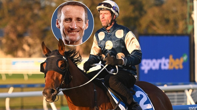 Champion jockey Damien Oliver (inset) believes Buckaroo is one of the key players in Saturday's $5 million Group 1 Caulfield Cup.