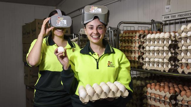 Egg producer Danyel Cucinotta is the only Victorian farmer to attend workshops on the Victorian Government’s new animal welfare bill, and is prohibited from discussing the bill with others.