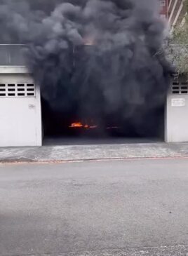 Car set on fire in Neutral Bay