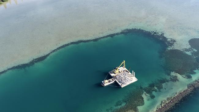 The replacement of the ocean wall will also entail the construction of new oyster reefs that will home intertidal Sydney rock oysters, and nearby, native flat oysters. Picture: TNC Australia