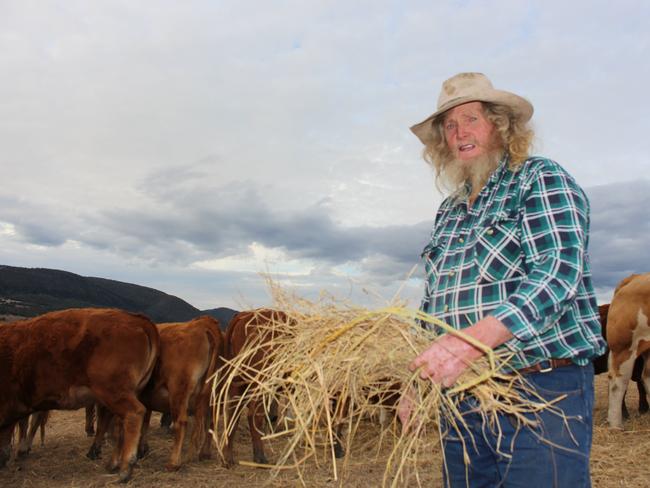 "Wild" Bill Ellis is a farmer from Mt Colliery (Southern Downs) feeding his limousin cattle hay during a drought with cloudy skies above holding promise of rain.