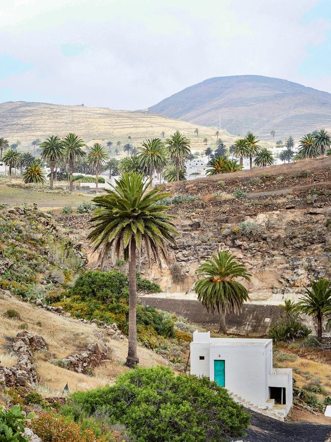 The village of Haría is known for its abundant palm trees: Photography: Sabrina Rothe.