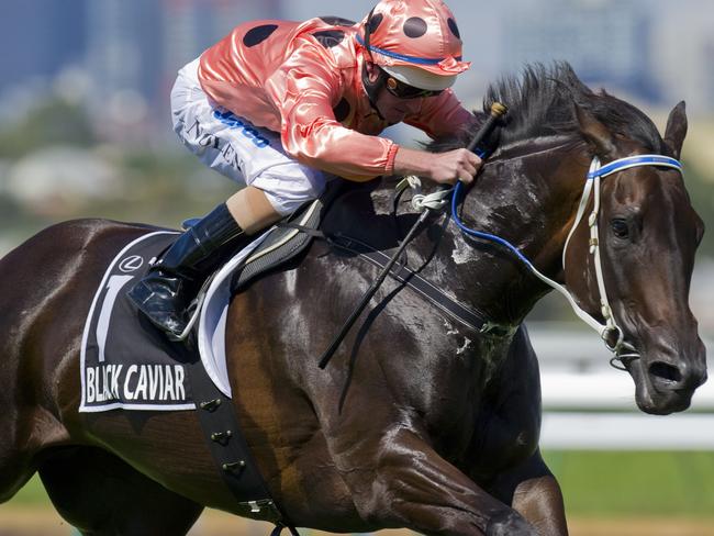 No one could get past the great Black Caviar in all of her 25 starts.