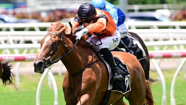 Dushenka caused a boilover of epic proportions in the opener at Eagle Farm on Saturday Picture: Grant Peters - Trackside Photography