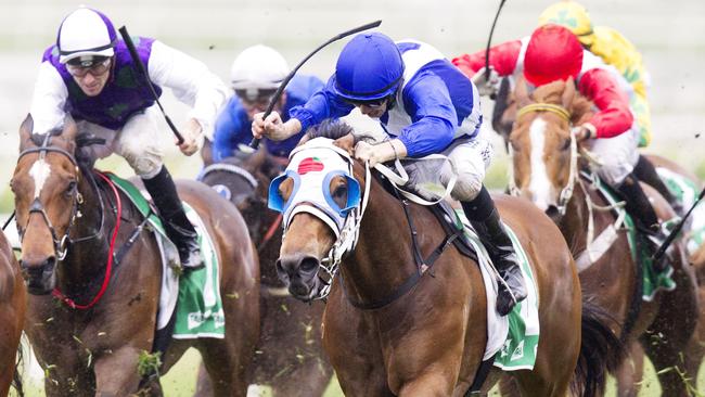 Disgraceful ridden by Jason Collett wins race 9 during Melbourne Cup day at Royal Randwick. pic Jenny Evans