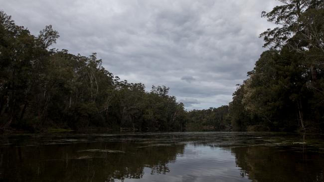 Shallow Crossing, on the Clyde River, is a popular swimming destination but is surrounded by logging compartments. Picture: Nathan Schmidt