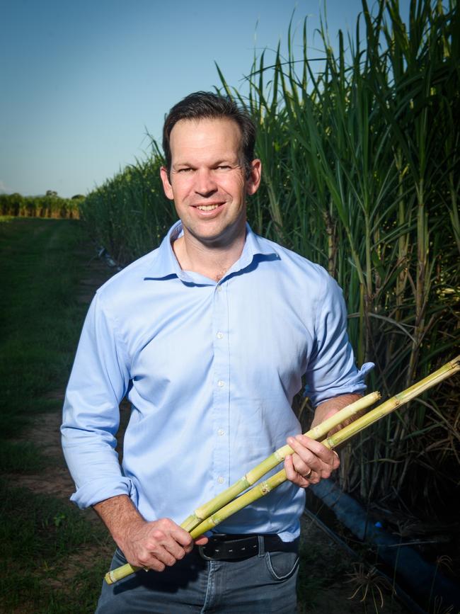 Matt Canavan has been re-elected.