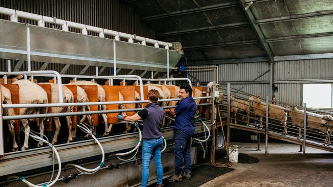 Cressida and Michael in the dairy. Picture: Wesley Lonergan