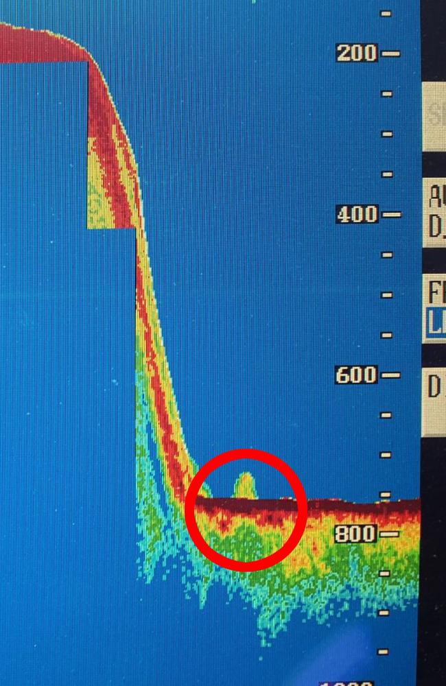 A sonar image that it’s claimed shows Nessie the Loch Ness monster. Picture: Northpix