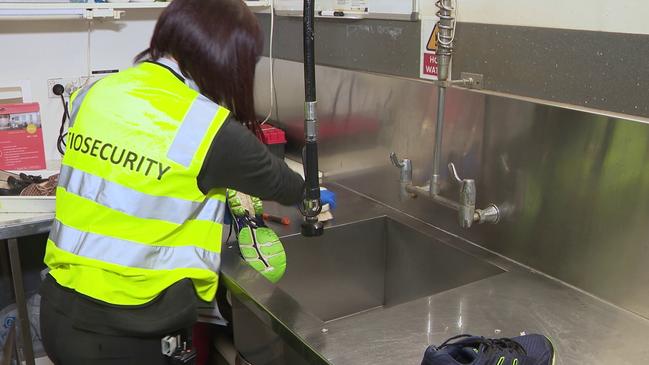 Passengers shoes received a rigorous scrub. Picture: Department of Agriculture, Fisheries and Forestry