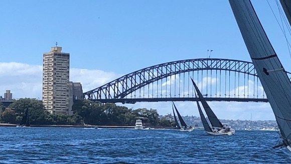 Yachts have been absent from the harbour during Covid lockdown.