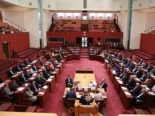 The Senate voted Tasmanian Senator Stephen Parry as its new president. The former undertaker was escorted to his new chair by...