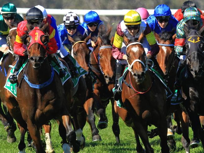 Loving home ridden by Tye Angland  (yellow cap, maroon with yellow armbands) wins race 1 during Scone  Races located in the Upper Hunter Region of NSW. The Bend . Pic Jenny Evans