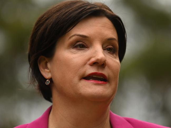 SYDNEY, AUSTRALIA - NewsWire Photos OCTOBER 28, 2020: NSW Labor Leader Jodi McKay and Chair of Inquiry into NSW Government Grants John Graham speak to the media during a press conference at Parliament House in Sydney. Picture: NCA NewsWire / Steven Saphore