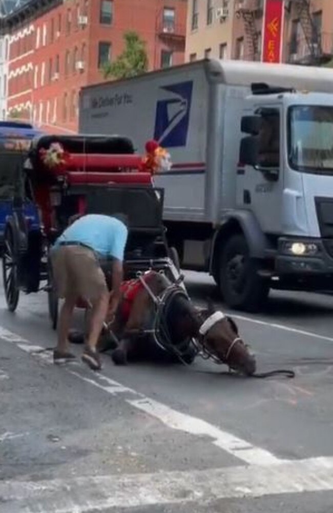 The NYC carriage horse collapsed in Hell’s Kitchen on Wednesday. Picture: Twitter