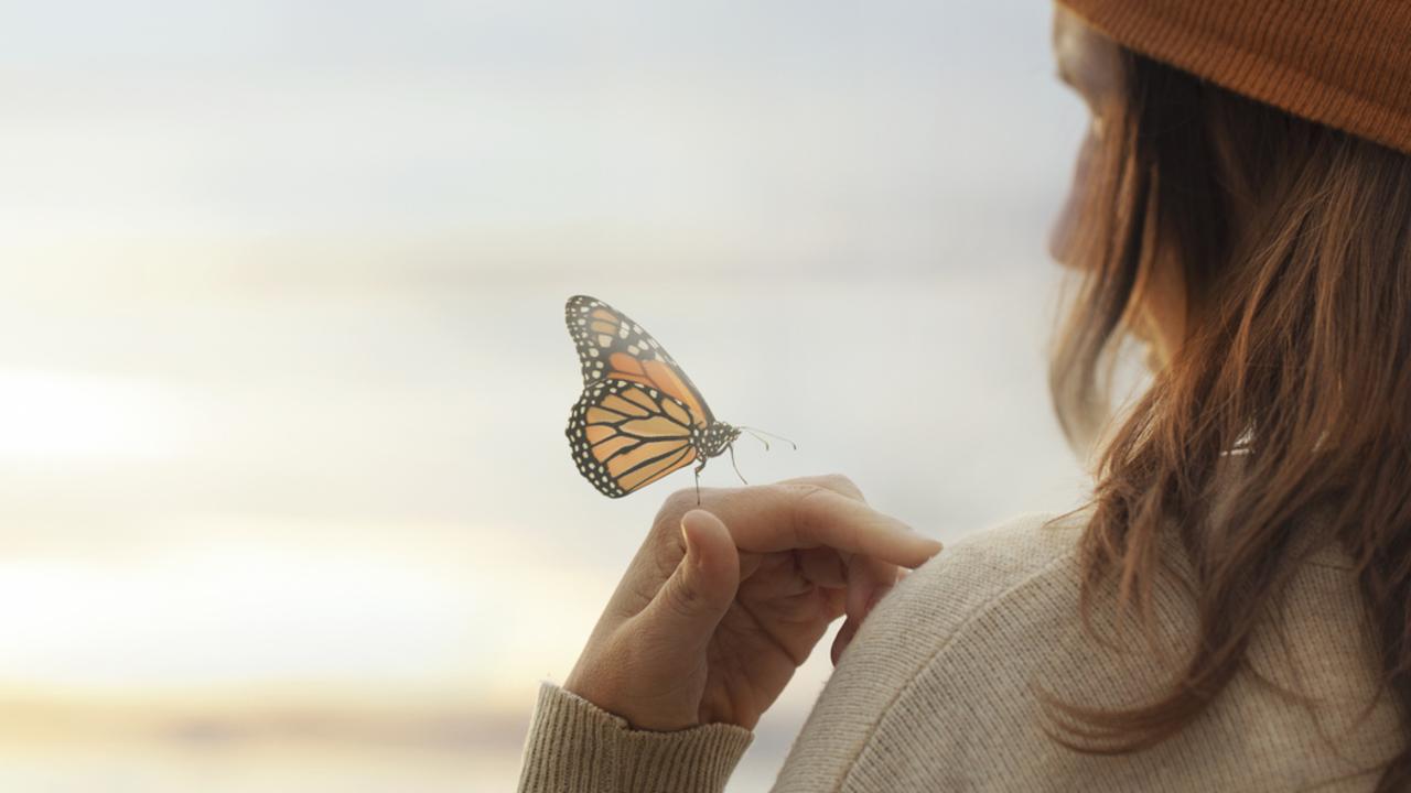Appreciating small moments of wonder boosts mental health