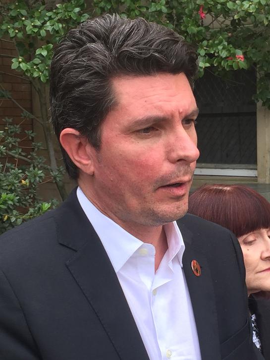 Australian Greens Senator Scott Ludlam. Picture: AAP