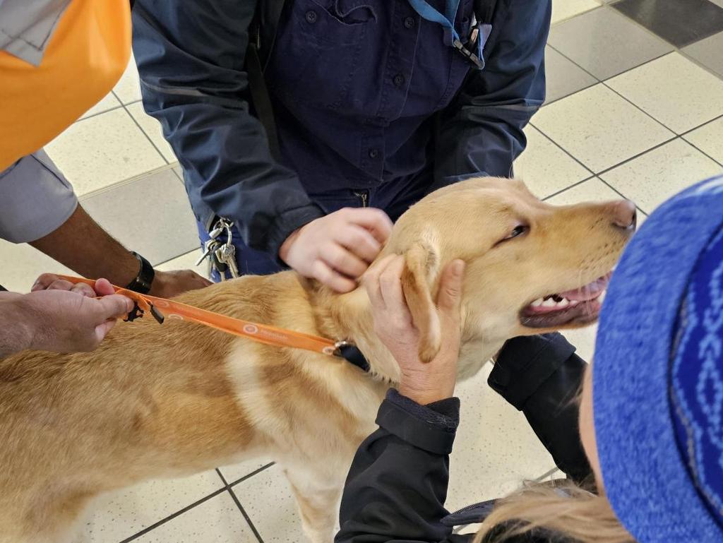 Storm was clearly adored by everyone who met him. Picture: Supplied by Metro Trains