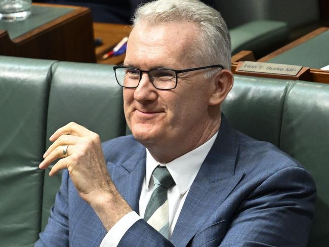 CANBERRA, AUSTRALIA  - NewsWire Photos - March 27, 2025:  Leader of the House, Minister for Home Affairs and Minister for the Arts, Tony Burke during Question Time at Parliament House in Canberra. Picture: NewsWire / Martin Ollman