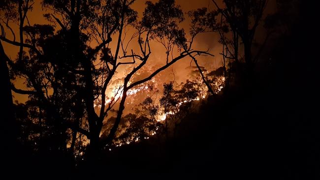 Dramatic scenes as fire lights up the bush at night.