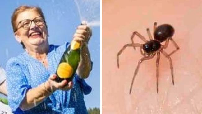 Doris Stanbridge won £10,000 a month for the next 30 years after spotting two money spiders.