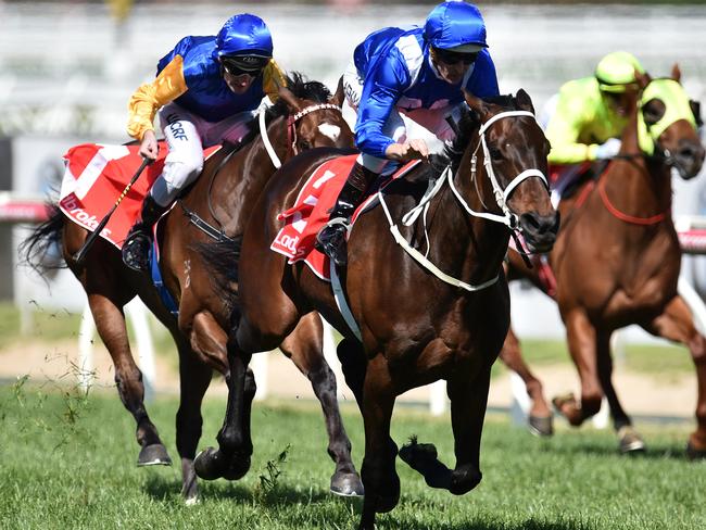 High Bowman and Winx (centre) prove too strong for Black Heart Bart (left) and He or She in the three-horse Caulfield Stakes. Picture: AAP