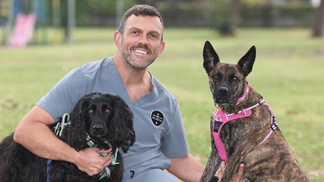 Gold Coast council has shared a dire warning for pet owners after data reveals there was more than 700 reported dog attacks last year. Pet expert Dr Rich Seymour will be holding free education and training sessions for dog owners on the Gold Coast across October and November. Dr Rich Seymour with his dogs Andy the Spaniel and Eleanor the Kelpie X  at Morialta Park. Thanks Hambo