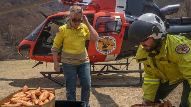 Sweet potatoes are loaded up. Picture: Supplied by NSW Environment Minister Matt Kean