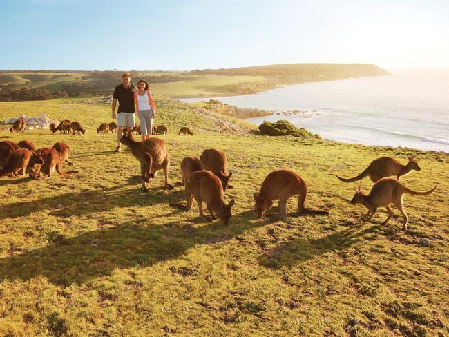 Kangaroo Island in South Australia. Picture: Tourism Australia