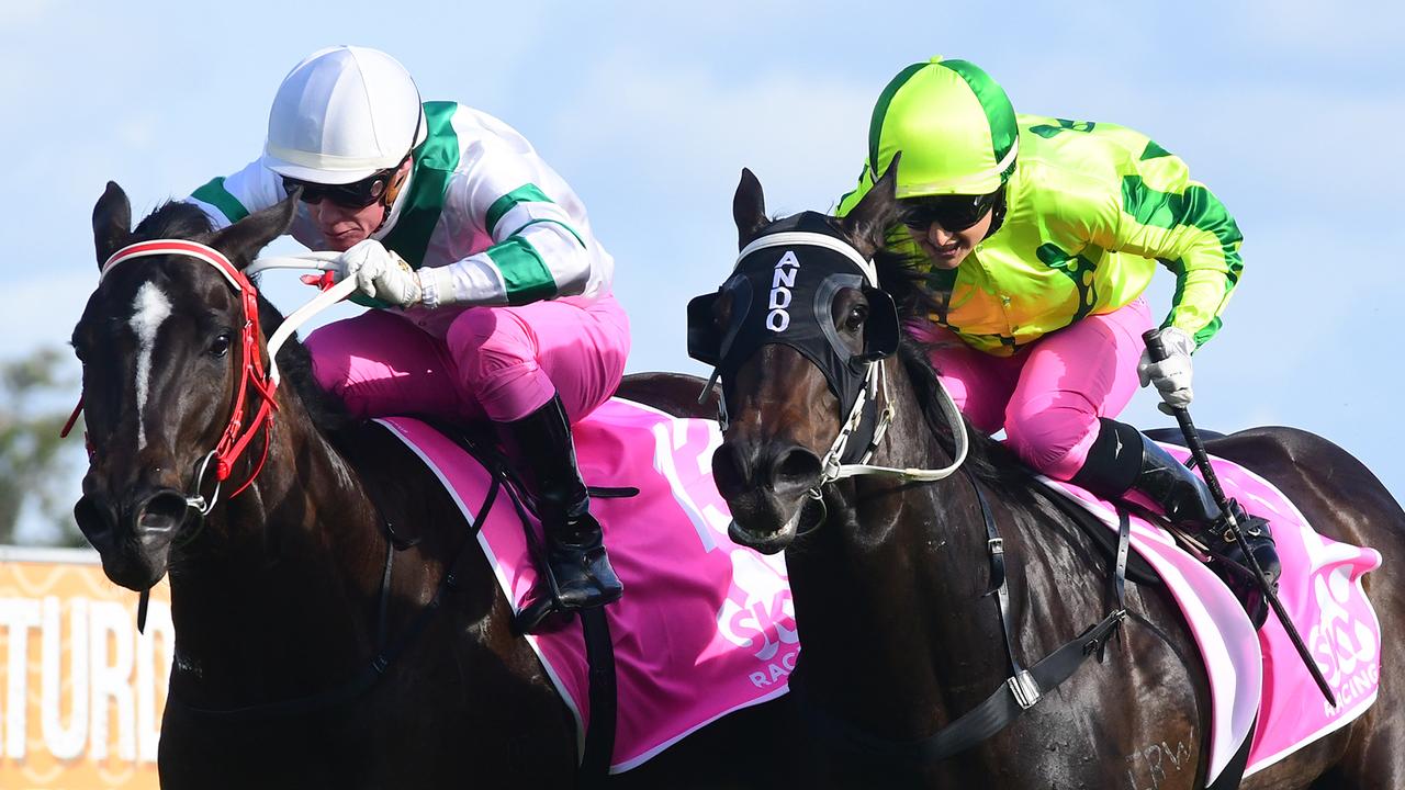 Epic Girl (right) ridden by Tegan Harrison for trainer Chris Anderson gets the better of Kisukano in the Pink Ribbon Cup at the Gold Coast. Picture: Trackside Photography