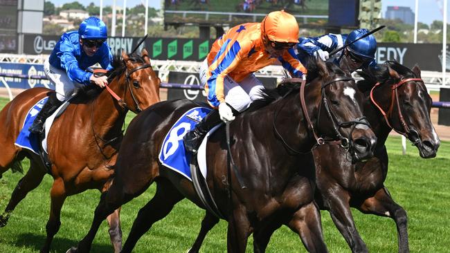 Champions Sprint winner Imperatriz could find herself competing in England during next year’s Royal Ascot carnival. Picture: Getty Images.