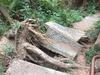 Popular tourist spot still closed, a year on from storm