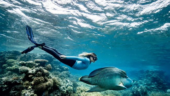 Visitors to the Far North could win a trip to the Great Barrier Reef and become a ’Guardian of the Reef’ in a world-first conservation initiative launched by Tropical Tourism North Queensland and Expedia. Image Luke Marsden