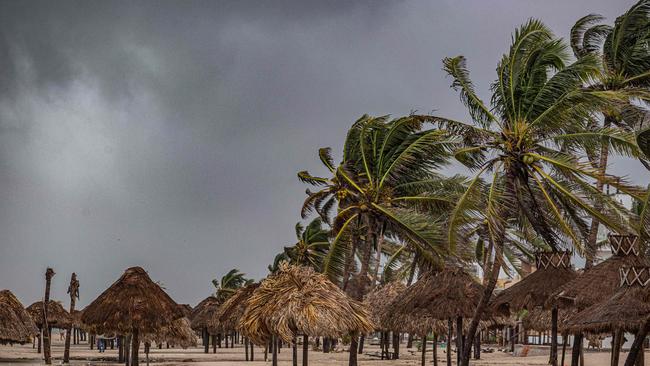 Palm trees hitting by strong winds are seen caused by rains from Hurricane Milton in Puerto Progeso, Yucatan State, Mexico, on October 8. Picture: Hugo Borges/AFP