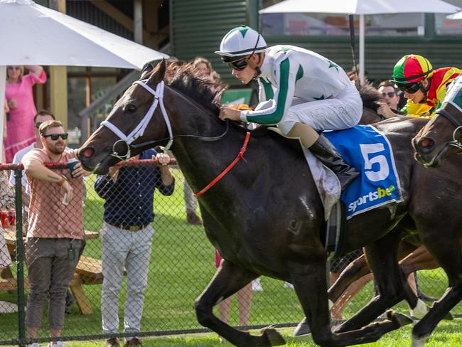 OAKBANK RACES - SATURDAY, MARCH 30, 2024. Celsius Star storms to victory in the Hills Railway Stakes. Picture: Makoto Kaneko