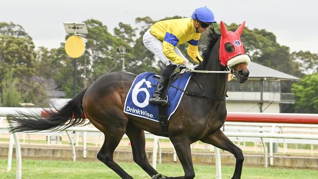 Iceman can give trainer Clarry Conners his 150th winner at Wyong.