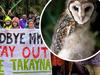 Masked owl recordings back tailings fight say environmentalists
