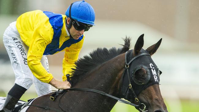 Cellsabeel won’t be turning out at Rosehill this weekend. Picture: Getty