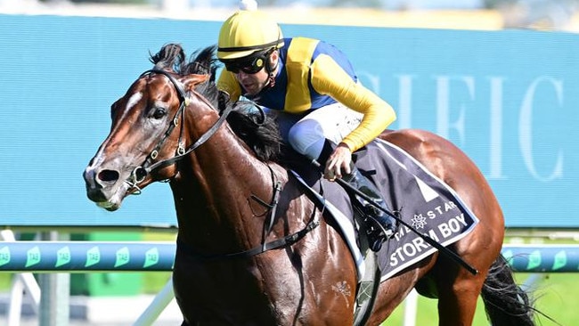 The Gai Waterhouse-trained Storm Boy has won the $3 million two-year-old Magic Millions Classic on the Gold Coast. Picture: Grant Peters/Trackside Photography