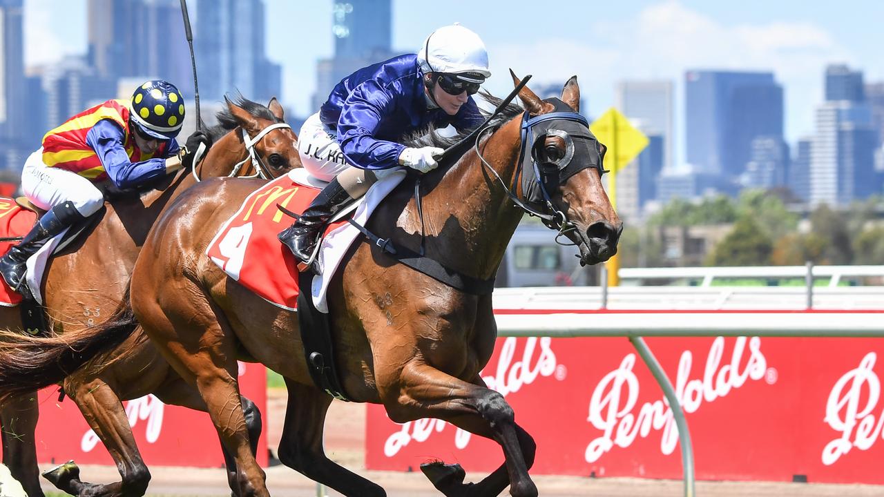 Melbourne Cup runner The Map raced for the final time last Saturday. Picture: Pat Scala/Racing Photos via Getty Images