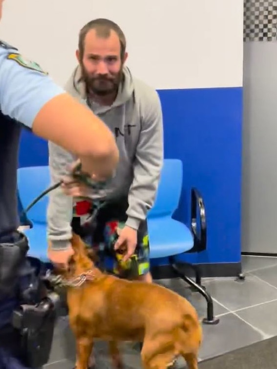 Baxter the pitbull terrier is reunited with her owner after allegedly being stolen from the Sydney CBD on Friday. Picture: NSW Police