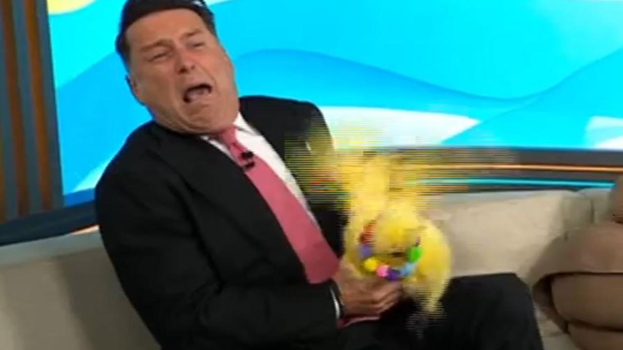 Karl Stefanovic absolutely loses it on-air