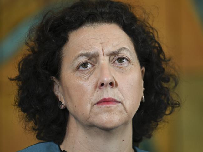 The Coalition is ramping up a major attack on Teal MPs, including Dr Monique Ryan. Picture: Martin Ollman