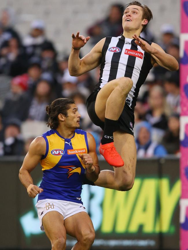 Darcy Moore shows off his high flying against West Coast. Picture: Getty Images