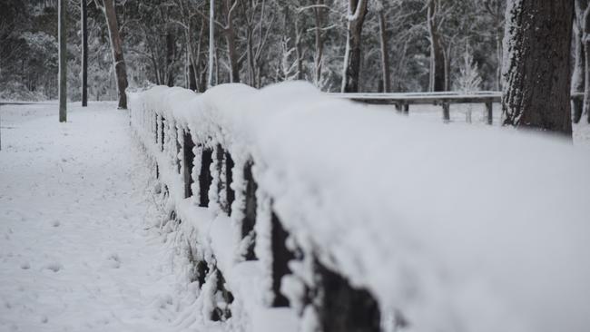 With two days of possible snowfall ahead for Stanthorpe and the Granite Belt, the Border Post has done some digging into the best spots across the region for you to catch the icy magic for yourself. Photo: Alex Nolan / Stanthorpe Border Post