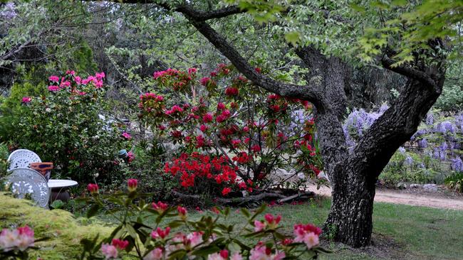 Bathurst is hosting a Spring Spectacular this weekend, opening 10 of the most beautiful private gardens in the region.