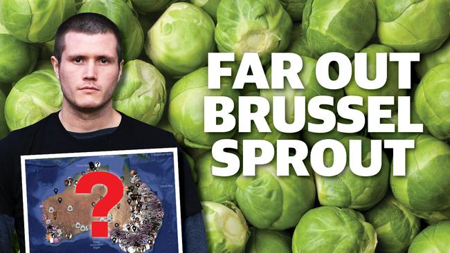 Far out Brussel Sprout online artwork