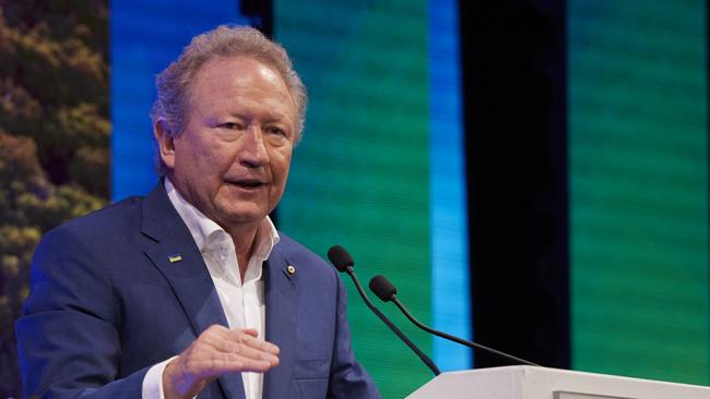 Fortescue Metals Group executive chairman Andrew Forrest has lost another senior executive, with chief financial officer set to depart.