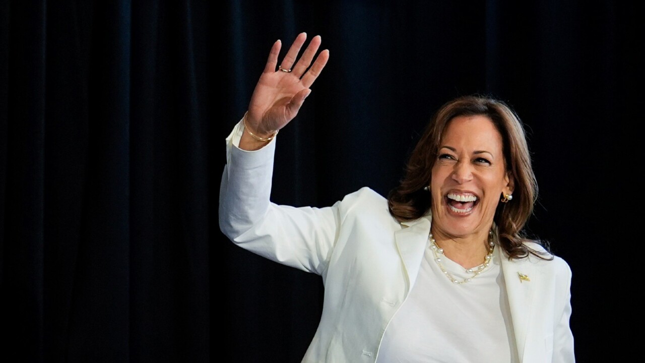 Democrats focused on ‘rebuilding’ Kamala Harris’ ‘image’