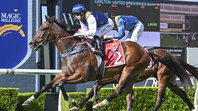 Yes Siree is looking to make it two from two when he heads to Kembla. Picture: Bradley Photos